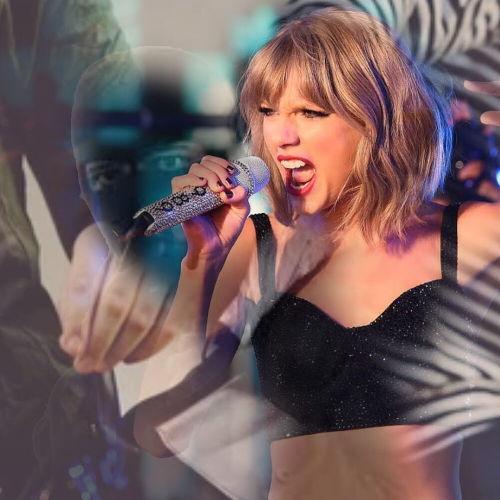 Did Taylor Swift steal lyrics?