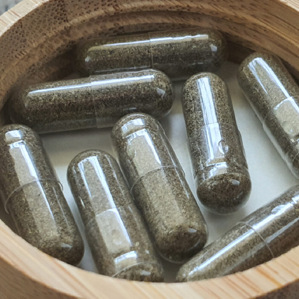 Discover the Power of Natural Gut Remedies - Get Your FREE Trial Today!